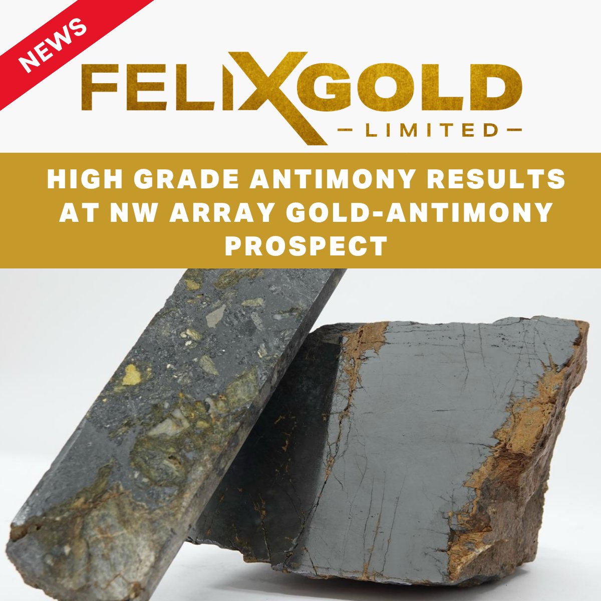 Felix Gold tweet media