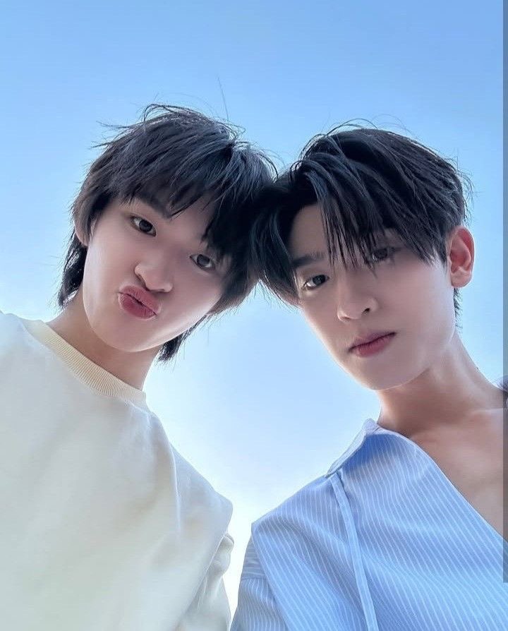 🐯🐶 tweet media