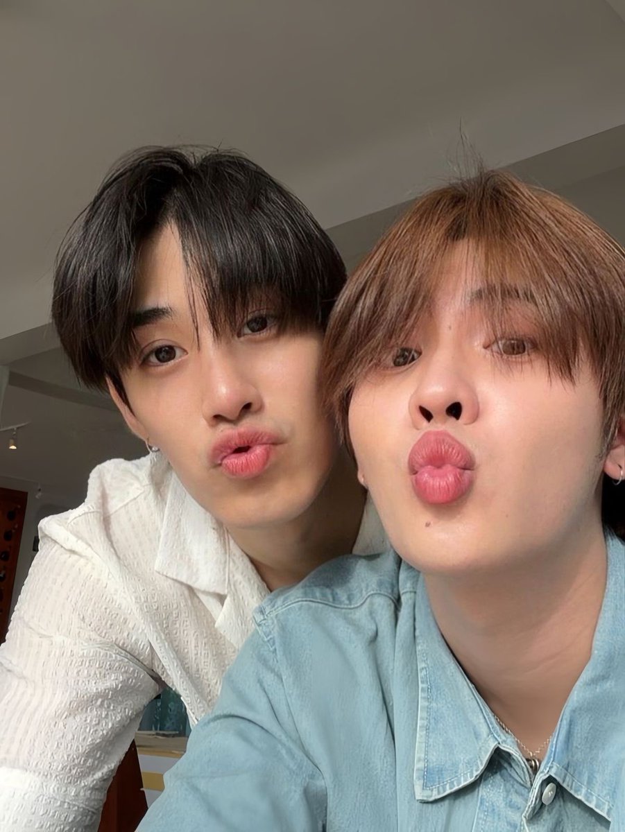 🐯🐶 tweet media