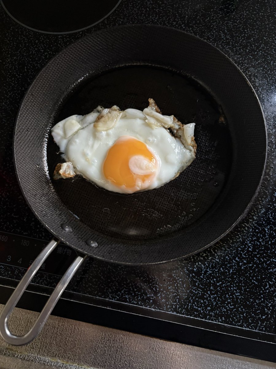 今日の方が目玉だった
めっちゃこっち見てくる
