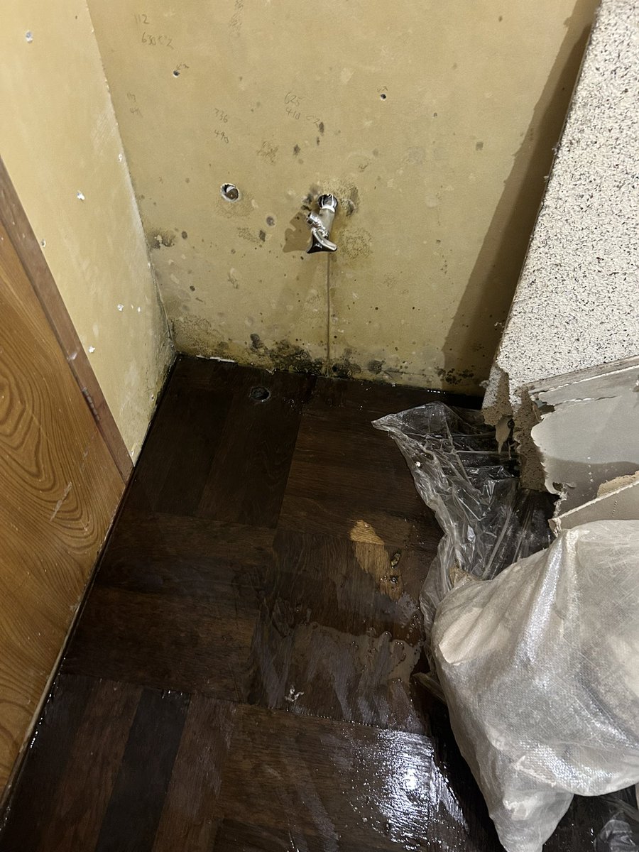 TK_denko's tweet photo. さて、秋からやっと物件修繕にとりかかれる。

久しぶりに来たら、洗面設置予定の場所が水浸しでワロタ

新品のボードにカビ生えてるやん😇 https://t.co/AH7r2YDYnK
