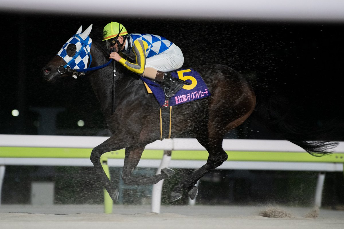 ミニ四駆 大井競馬場 矢野貴之 モデル TCK限定ミニ四駆を手