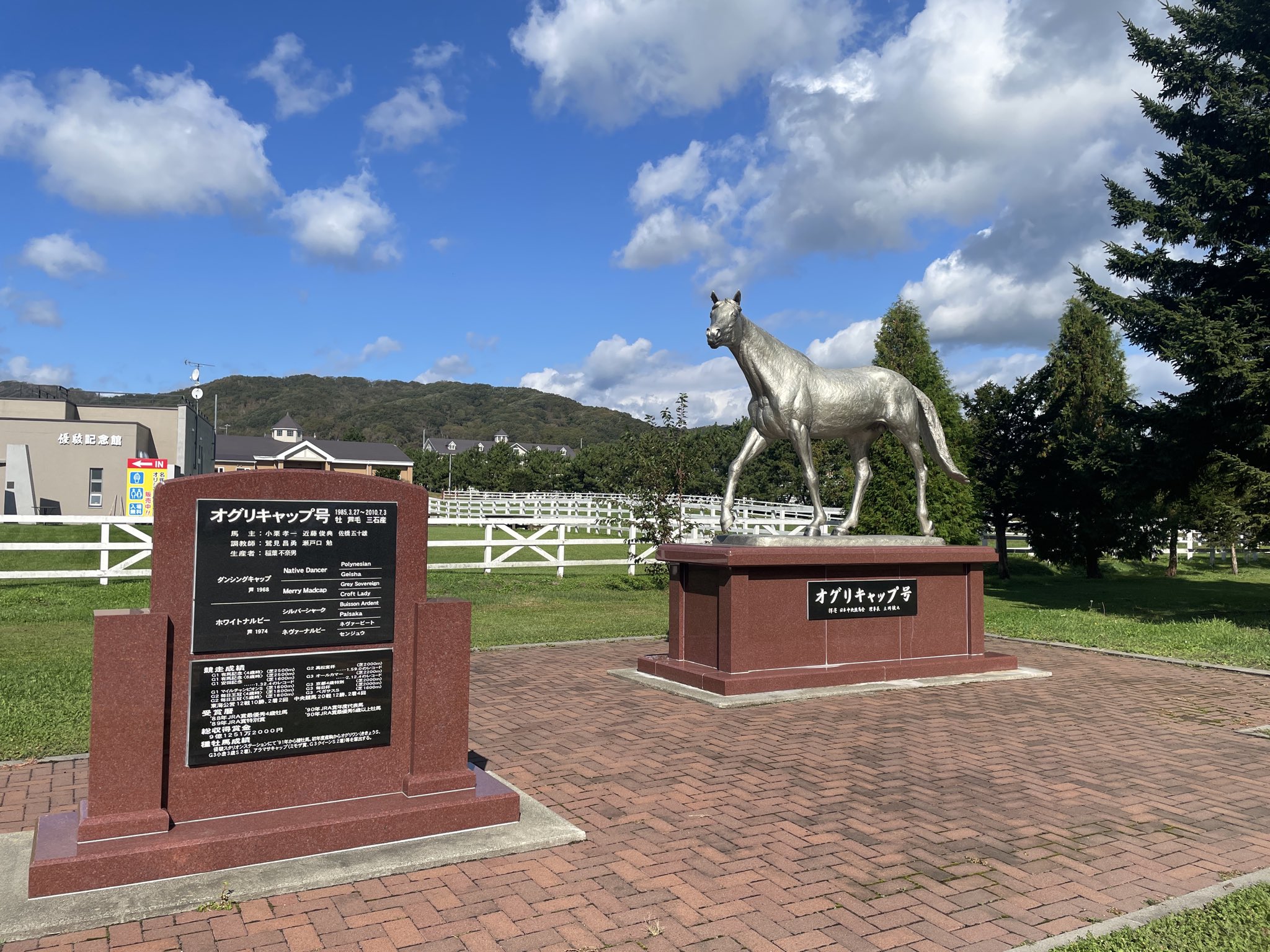 いも@プロフ必読ページ MKS TINY BUBBLY【ONE SIDE Ezy Superior】 | LORO ONLINE STORE