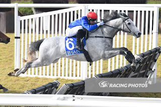 Champion jumper The Cunning Fox is back in pre-training with <a href="/PatemanRacing/">Steven Pateman</a> in readiness for next year's jumps season.  The $34,000 <a href="/mmsnippets/">Magic Millions</a> Nation Sale buy has won 11 races and $721,440 prizemoney. <a href="/ghall27/">Gareth Hall</a> <a href="/Racing/">Racing.com</a>