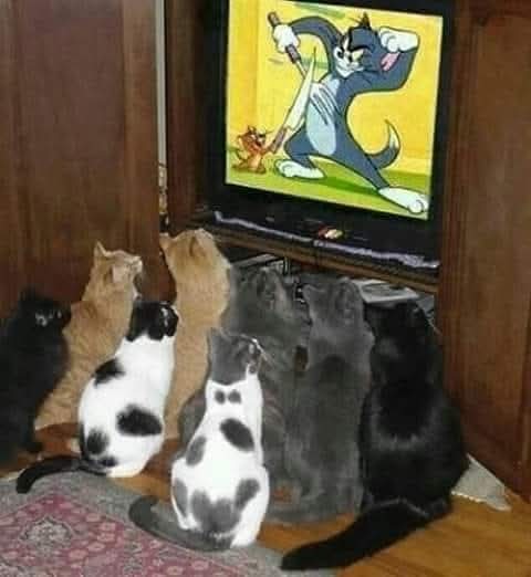 من الرسوم المتحركة التي تشاعدها في صغرك وكبرك وماتملش منها ...

#Tom__Jerry