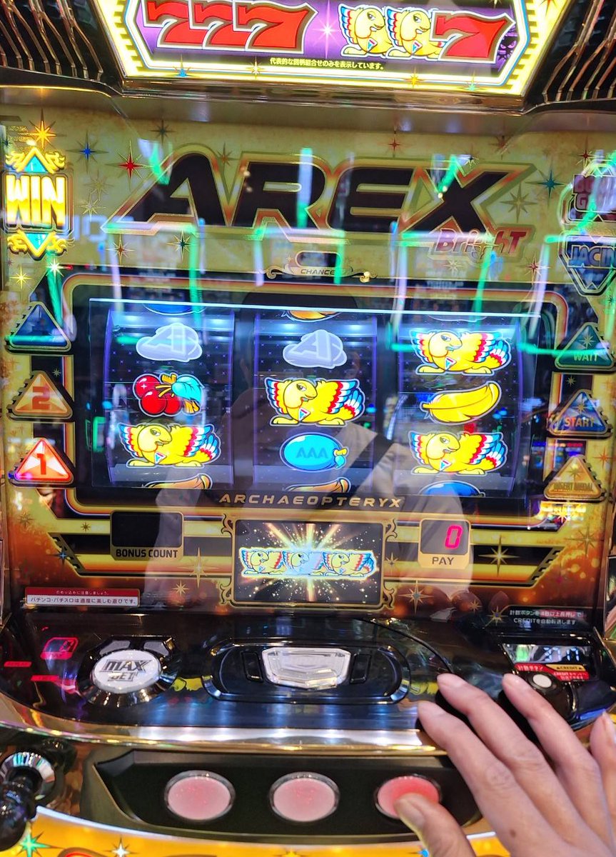 🌺たなはち🐝🐦 (@dayz8787) / Posts / X