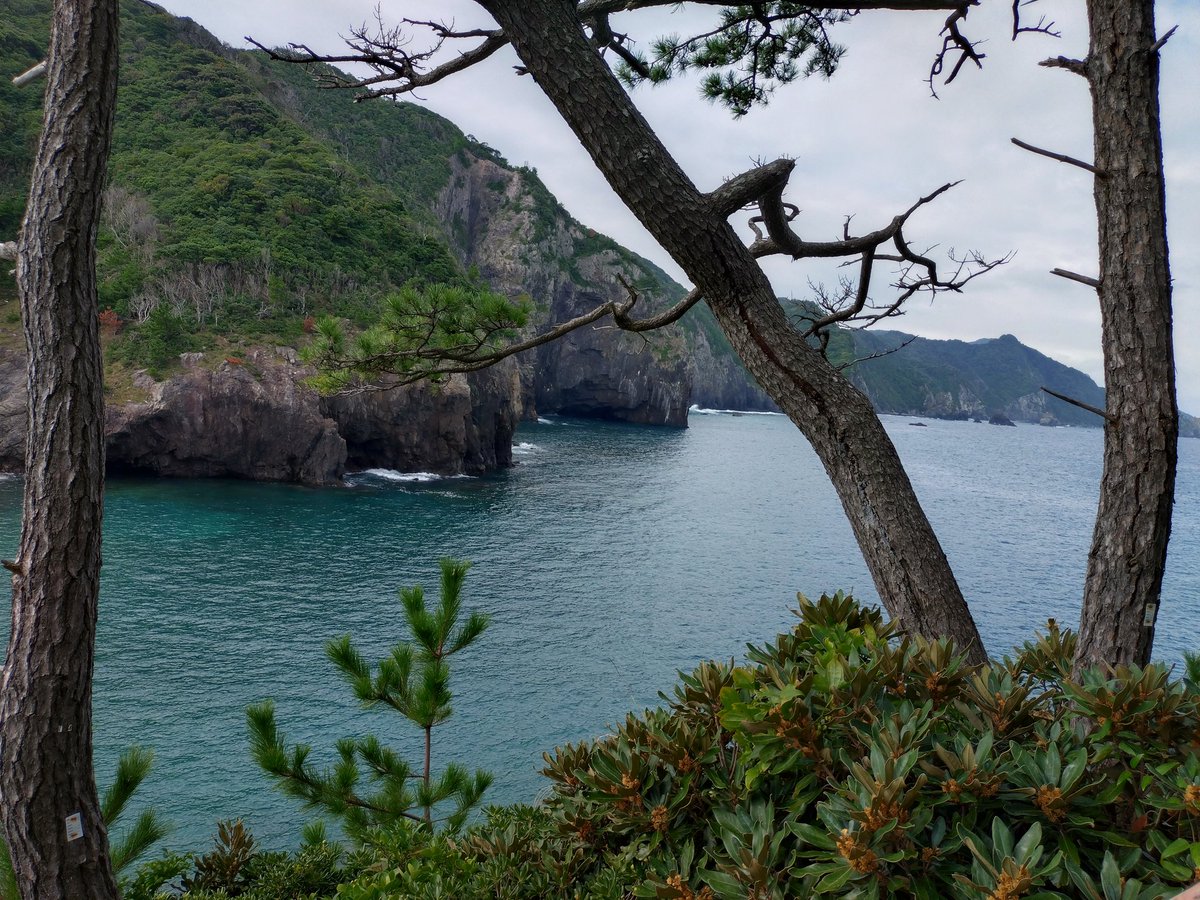 kaneko_misuzu's tweet photo. 10月19日(日)、イベント「青海島自然研究路を歩く〜ジオ＆みすゞの詩」を行います。
青海島の地質や自然、みすゞさんと青海島の繋がりを学芸員が一緒に散策しながら説明します。
例えば、「山の枇杷」や「芒とお日さま」等（写真）🌾
詳細は以下のサイトをご覧下さい☺
https://t.co/YR2FhZr23l https://t.co/KijCdm5p3X