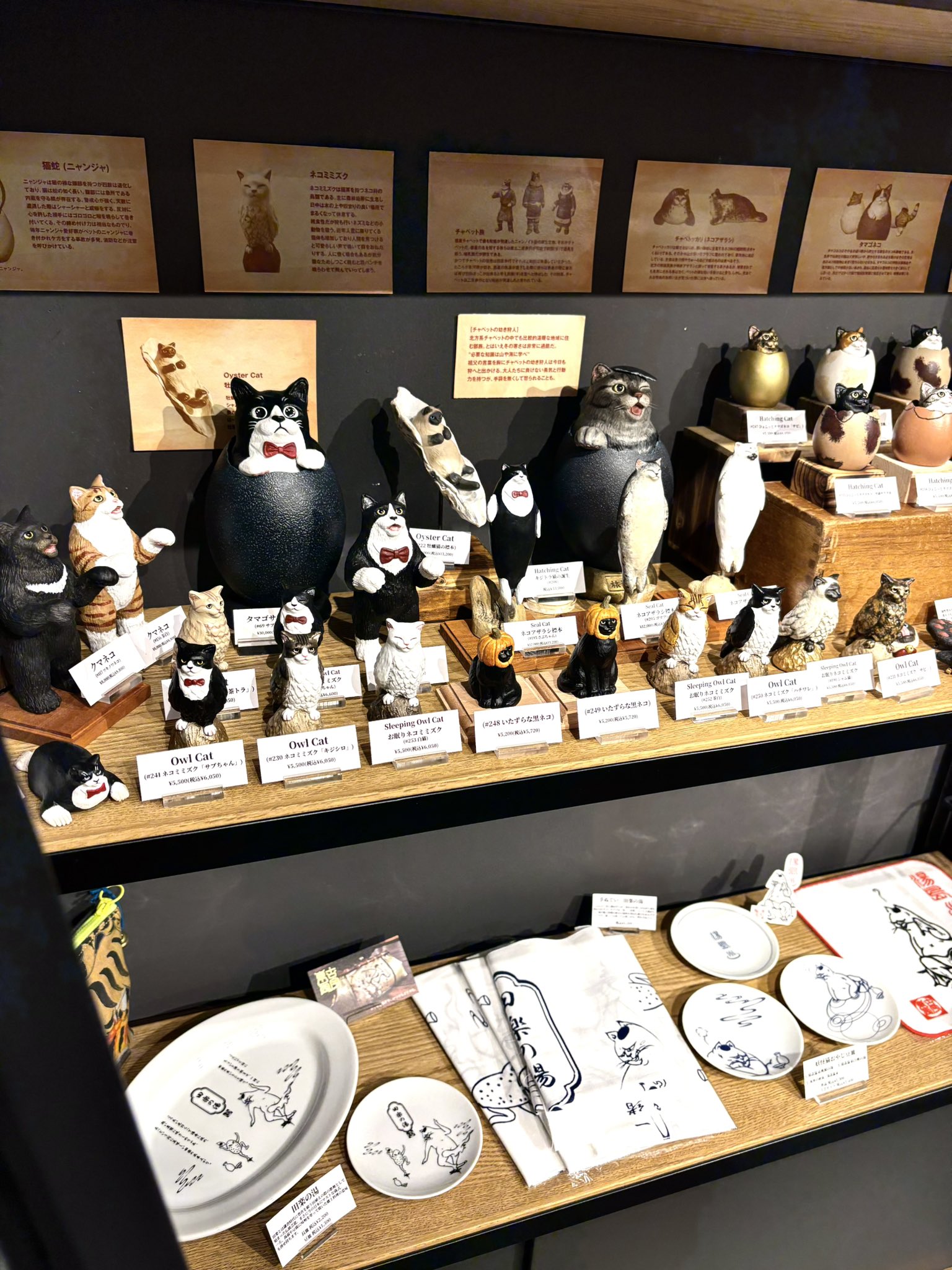 Funnfunn hatsutorin 猫まつり2023 Hina Dolls and Cats 2023. - YouTube