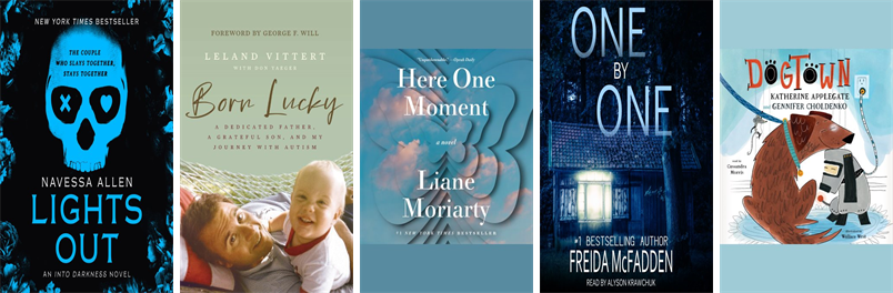 CHBoothLibrary's tweet image. This week the Cyrenius H. Booth Library has 16 new books. New items include Lights Out, Born Lucky, Here One Moment, One by One, Appetite for Innocence, Dogtown, The Killer Question, Bone Valley, Days You Were Mine, and The Sunflower Boys. wowbrary.org/nu.aspx?p=3076…