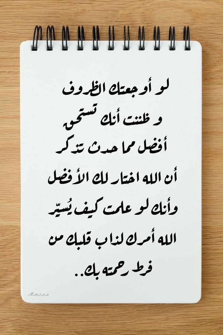 lahn_almal's tweet photo. https://t.co/fPwqCffKRi