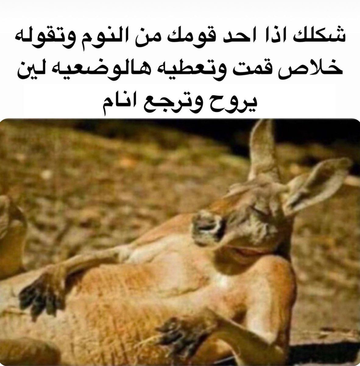 منصور (@i14nn) on Twitter photo 