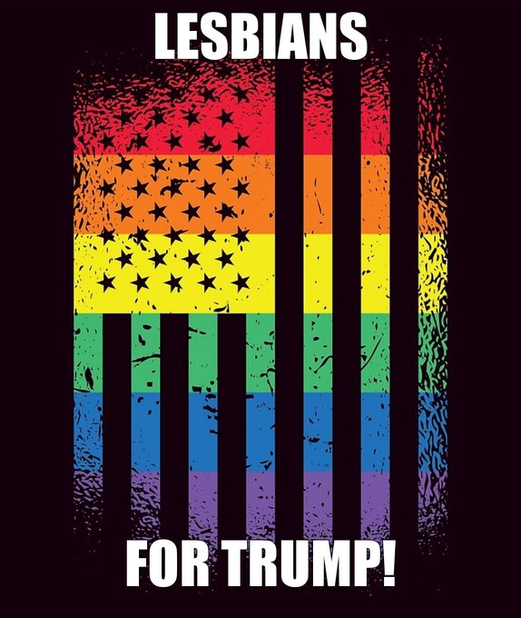 lesbianbenshapiro1984 tweet media