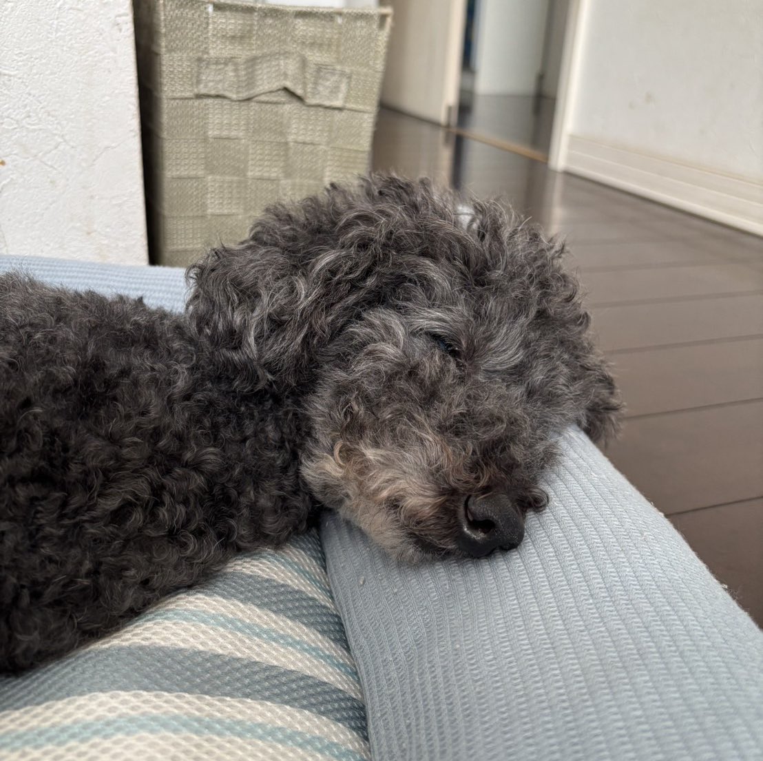 いい寝顔