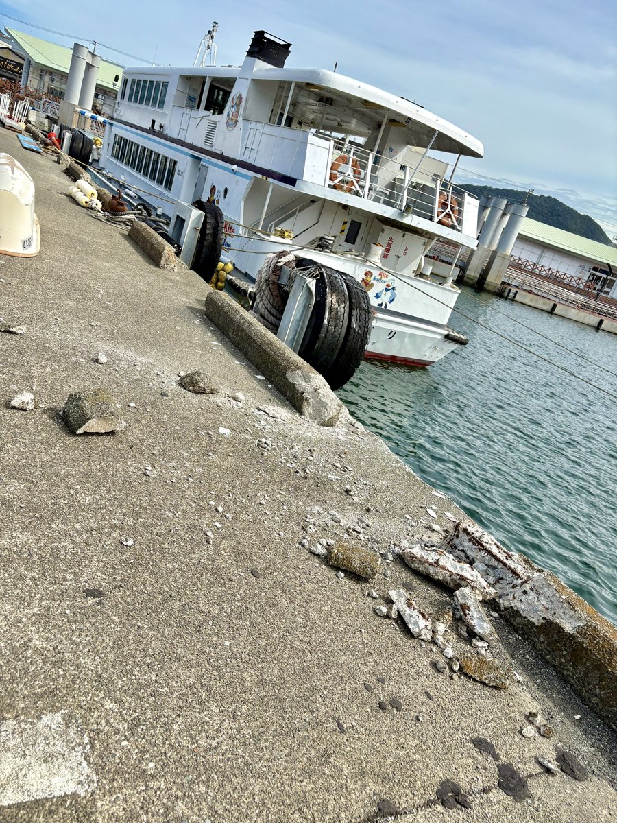 今日のお昼は久しぶりに
#沼津みなと新鮮館 のあじやさん🍚🐟

いつ来てもアジフライがデカイ＆さっくさくで美味し〜い！
ごちそう様でした🙏

ついでに『遊覧クルーズちどり』の衝突現場にも足を運ぶ野次馬根性ｗ🤭
３日前(10/5)の出来事ですが、まだ事故の痕跡が見て取れましたね🛥️
#沼津 #沼津港