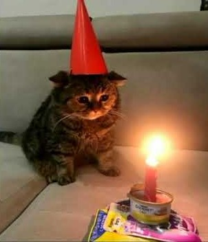 i'm older than i was yesterday 🎂