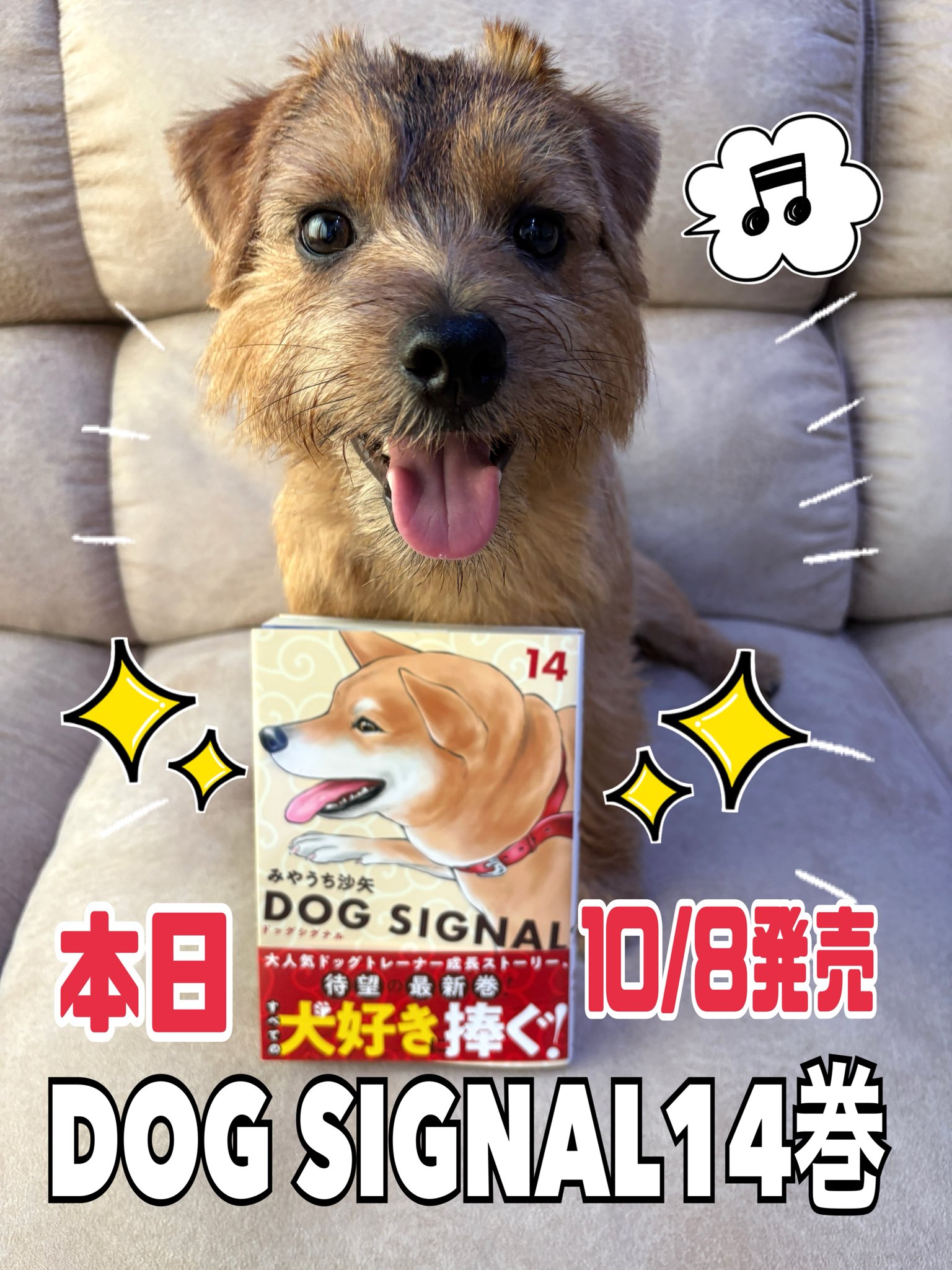 DOG SIGNAL 全13巻セット みやうち沙矢 みやうち沙矢 (@saya_miyauchi) /