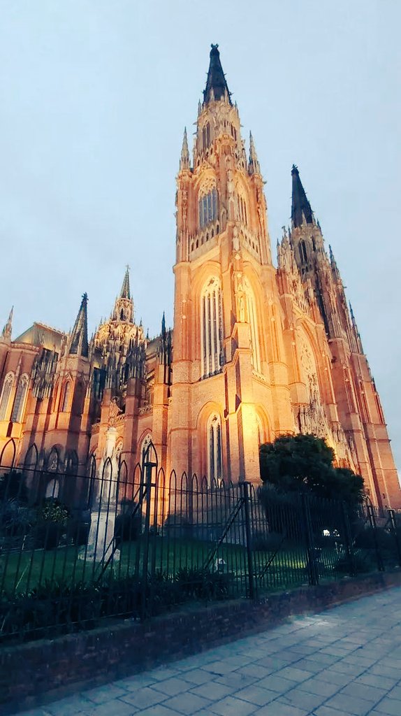 La majestuosa con ese brillo potente... foto de mi autoría tomada a fines de julio del 2025.