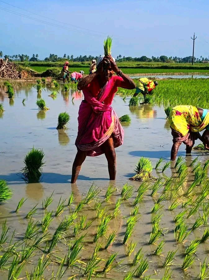 #தேவேந்திரகுலவேளாளர்
நாங்கள் வாழும்வரை
 உலகம்வாழும்
   DKV