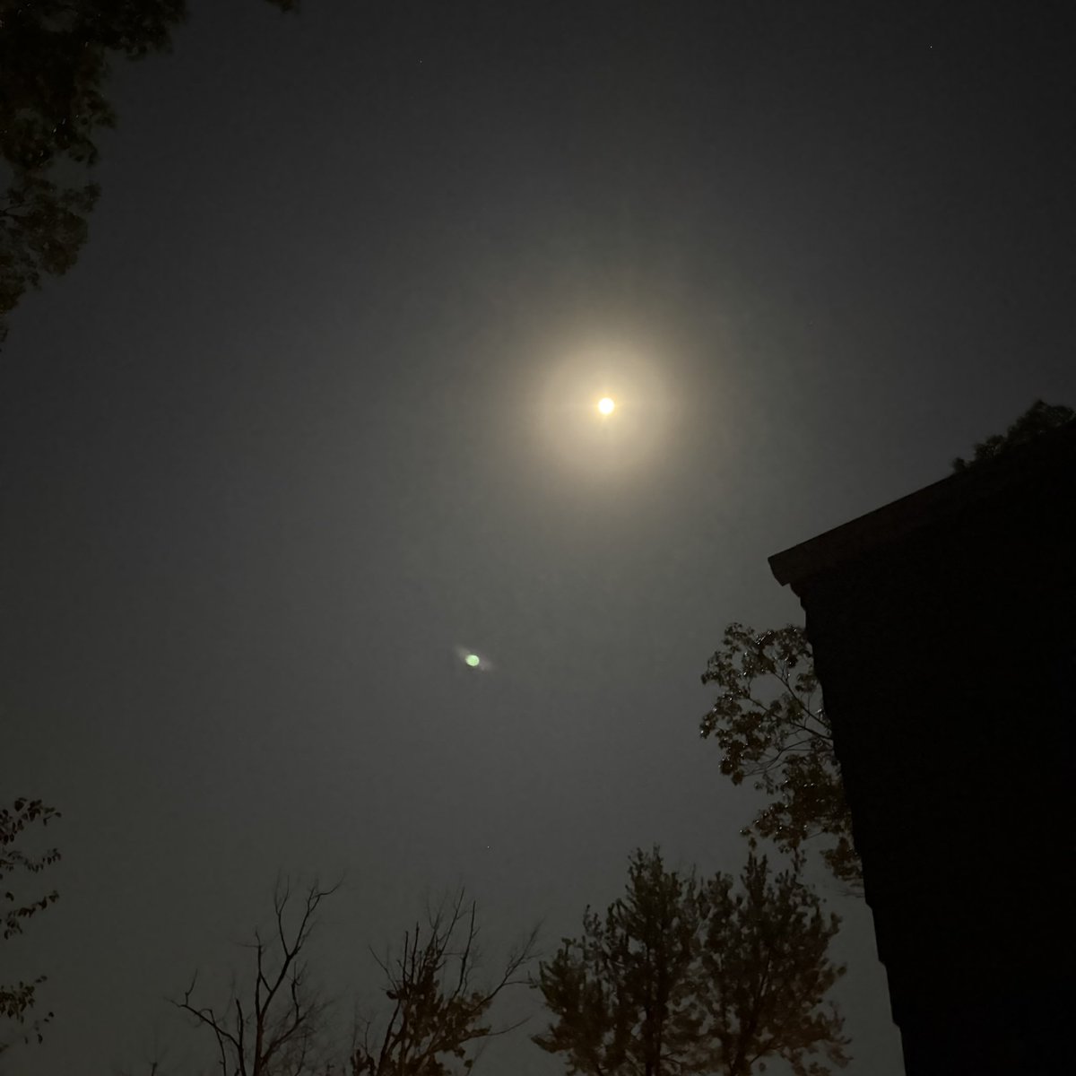 fall…. big harvest moon last night… shit was so bright i could see each divot in my hand….