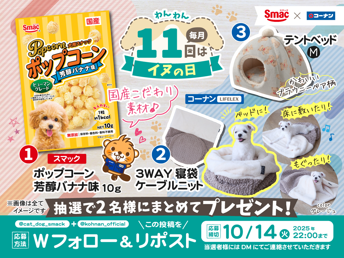 kohnan_official's tweet photo. 🐕 #イヌの日 10月スペシャルキャンペーン 🐕

毎月11日は「イヌの日」🐶🌸
スマック様とコーナンの注目商品が当たるぅ🤩🎯

✅応募方法
①@cat_dog_smack と@kohnan_official をフォロー
②この投稿をリポスト

✅応募締切
2025/10/14(火)22:00

✅応募規約
https://t.co/eTZTGO6y1M https://t.co/aU7LfUazV0