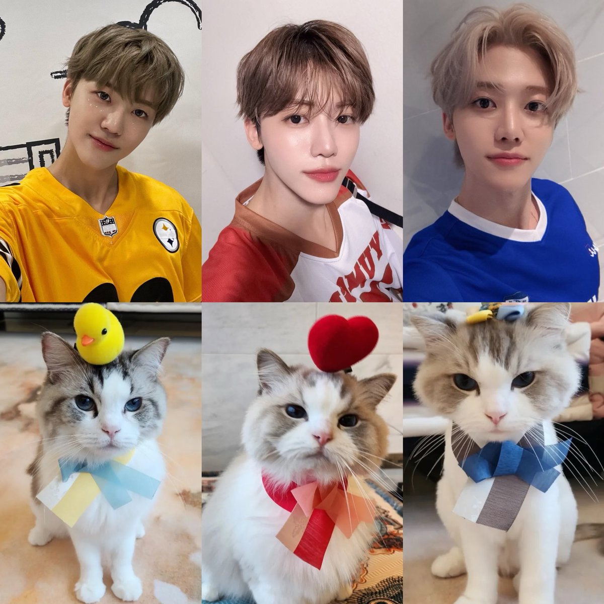 —nany ⁸¹³ ᙏ̤̫͚ ♡ tweet media
