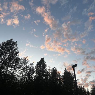 JesseSherwin3's tweet photo. #NewProfilePic https://t.co/eGFnKYh5SR