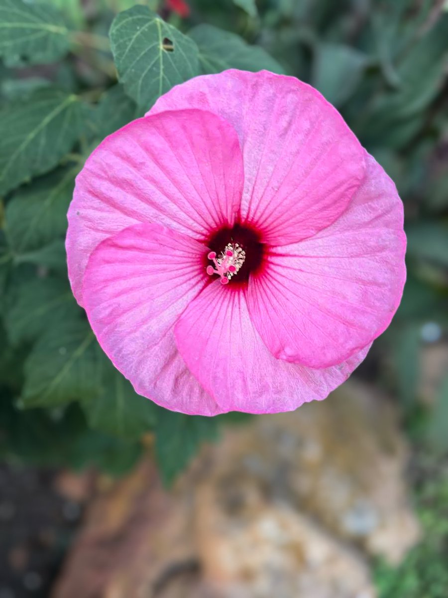 Atar Zhu (@atarzhu) on Twitter photo 