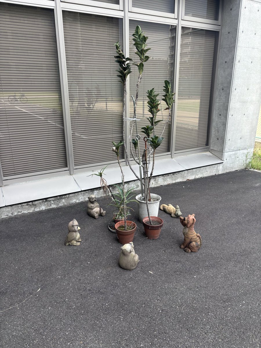 tomo512110's tweet photo. 会議してた https://t.co/DpE0Y98QOK