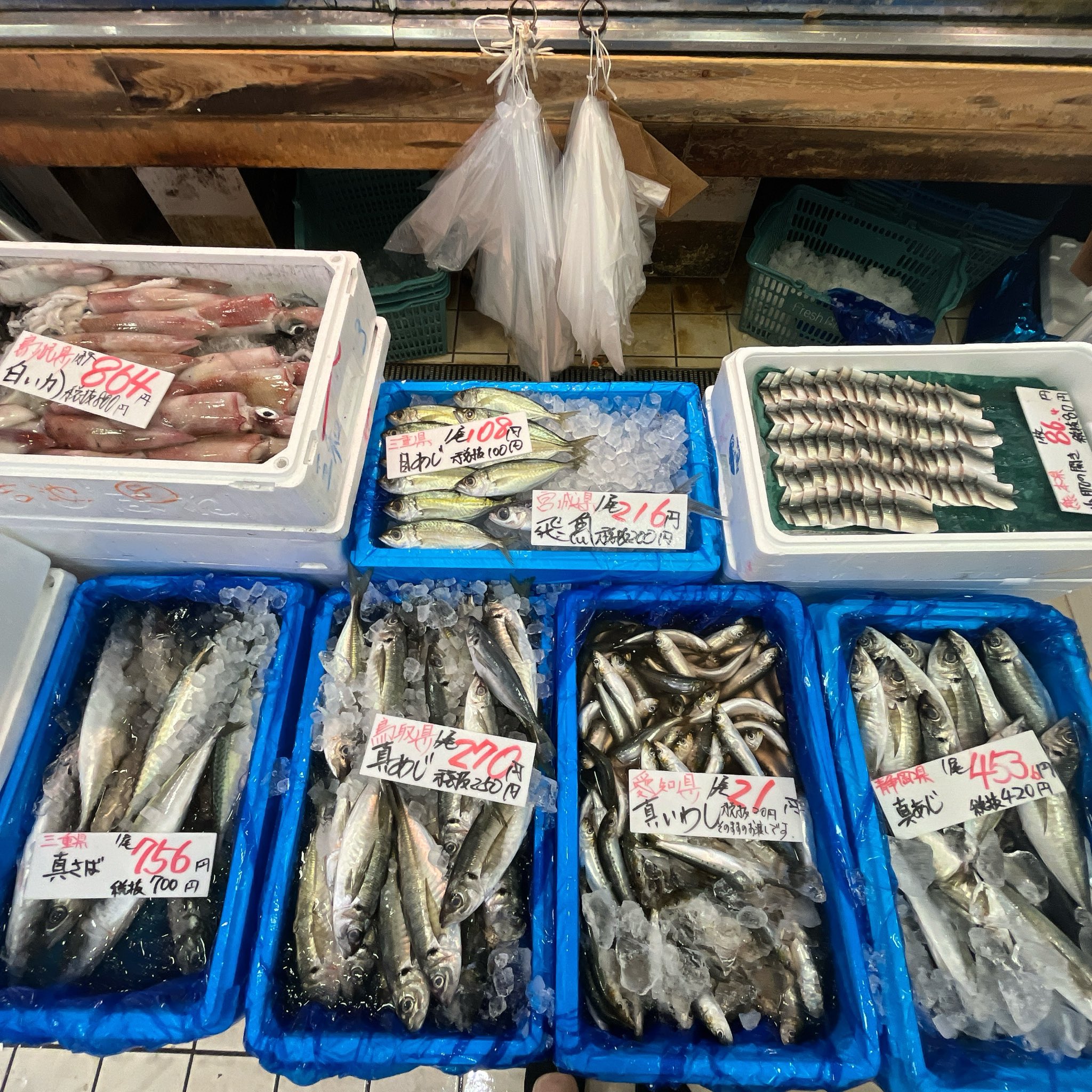 オイカワの剥製　美品　珍作 オイカワの剥製 美品 珍作 - メルカリ