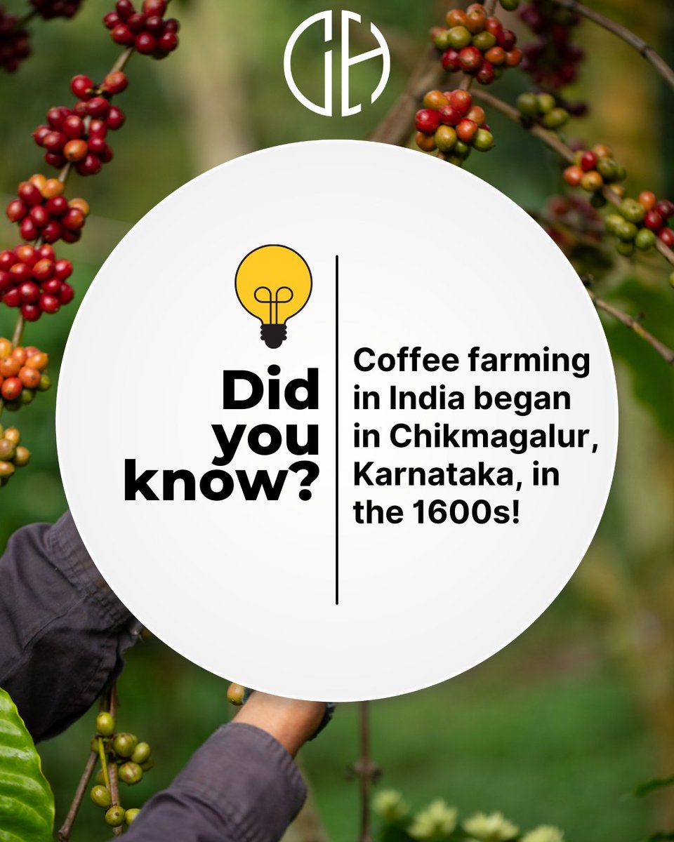 coffeehivein's tweet image. India runs on chai and coffee! #CoffeeFacts

#CoffeeHive #factpost #CoffeeCulture #facts #coffeefact #wednesdaywisdom #coffeeday #wednesdayvibes #NoidaCoffee #nowbrewing #konacoffee #hawaii #volcano #lava #coffeelovers