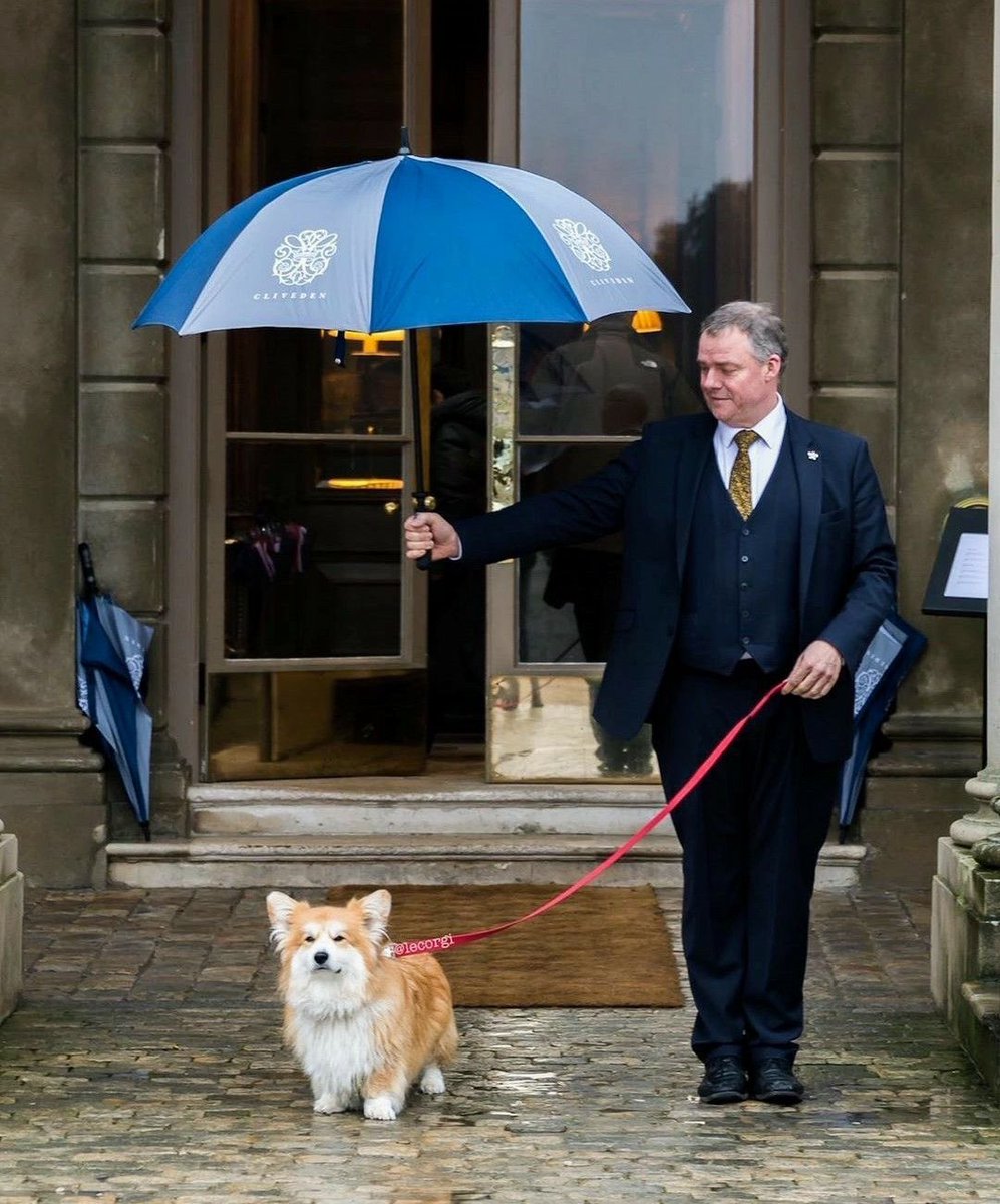 twaniimals's tweet image. 