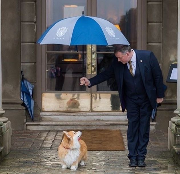 twaniimals's tweet image. 