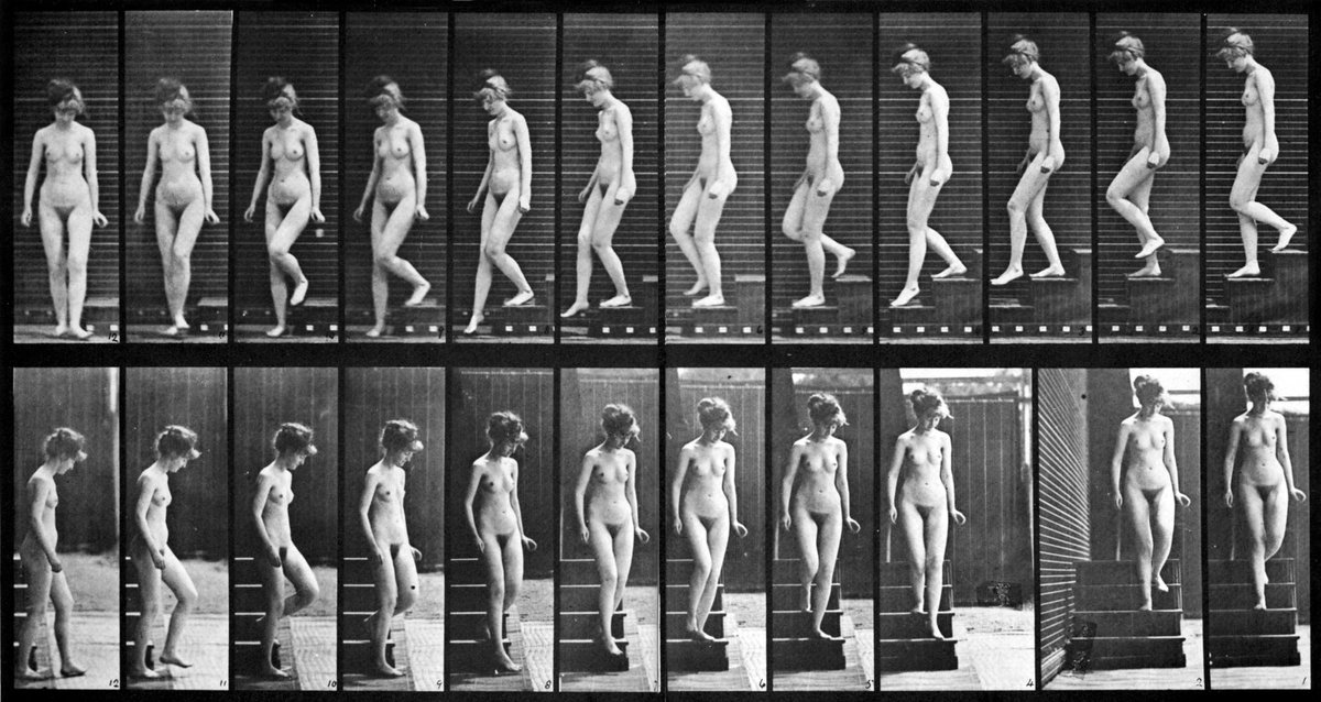 adam_piron's tweet image. at the beginning of cinema’s history, nude scenes were quite literally the *only* plot