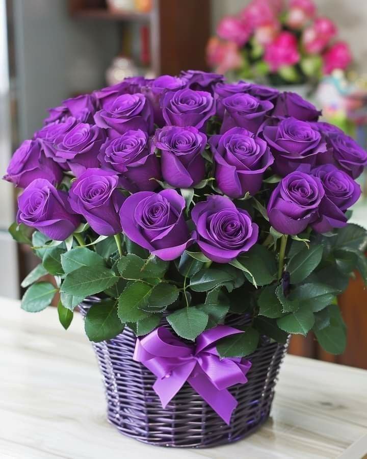 طبيب 💜 الإحساس💜 tweet media