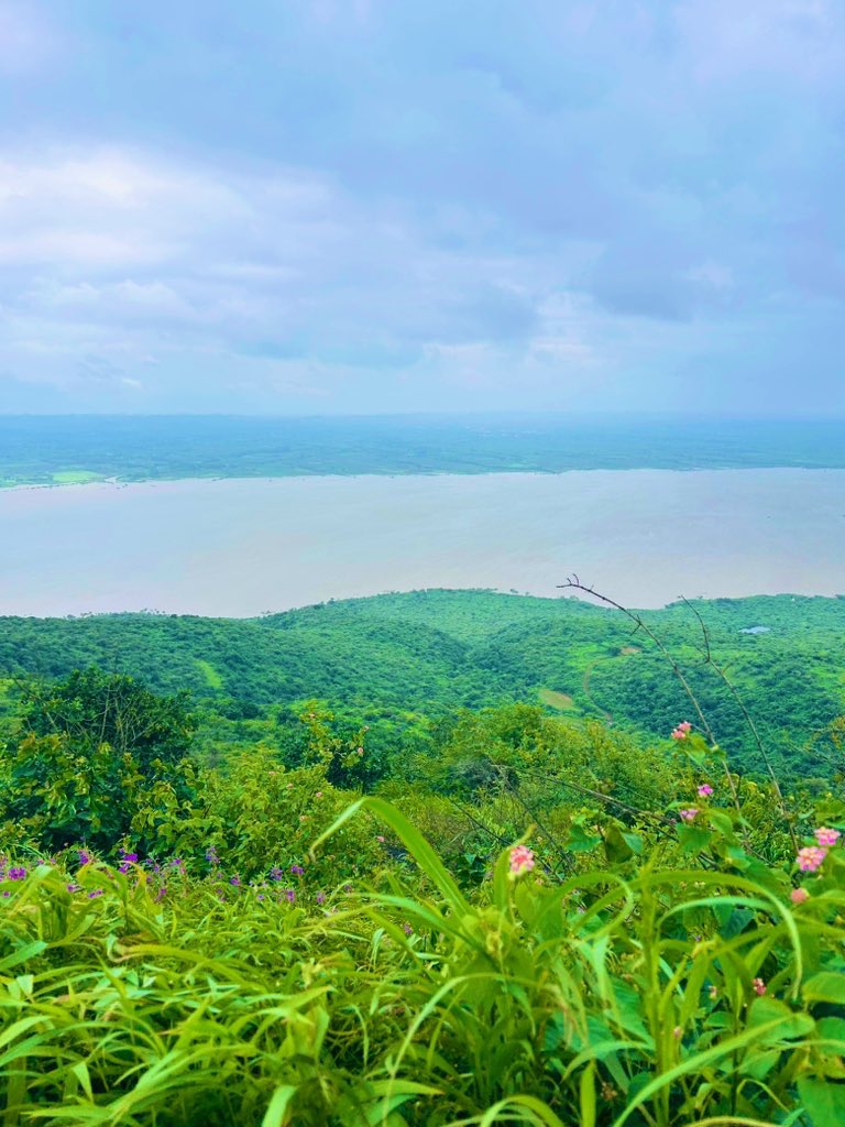 🧗‍♂️ શેત્રુંજી - પાલીતાણા ⛰️
