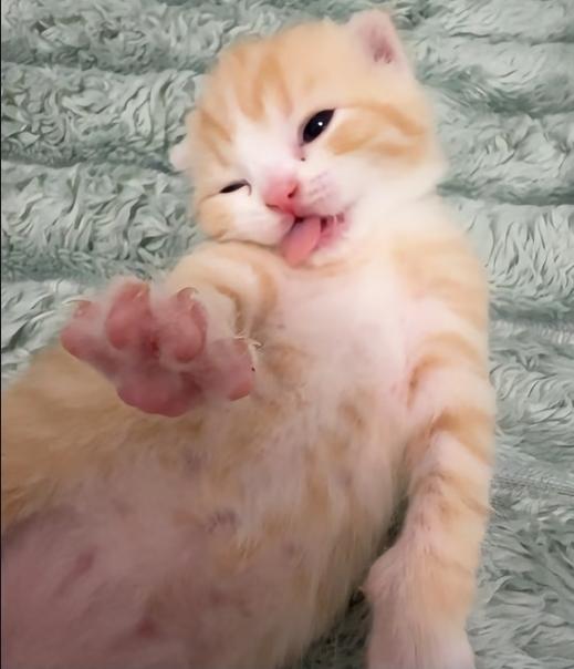 🤪