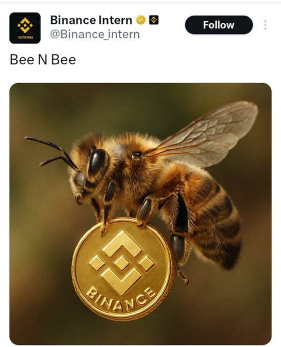 Core_002's tweet image. Would you like to see $BEE listed on Binance? 🐝🔥

🔁 Repost to show the power of the $BEE community!