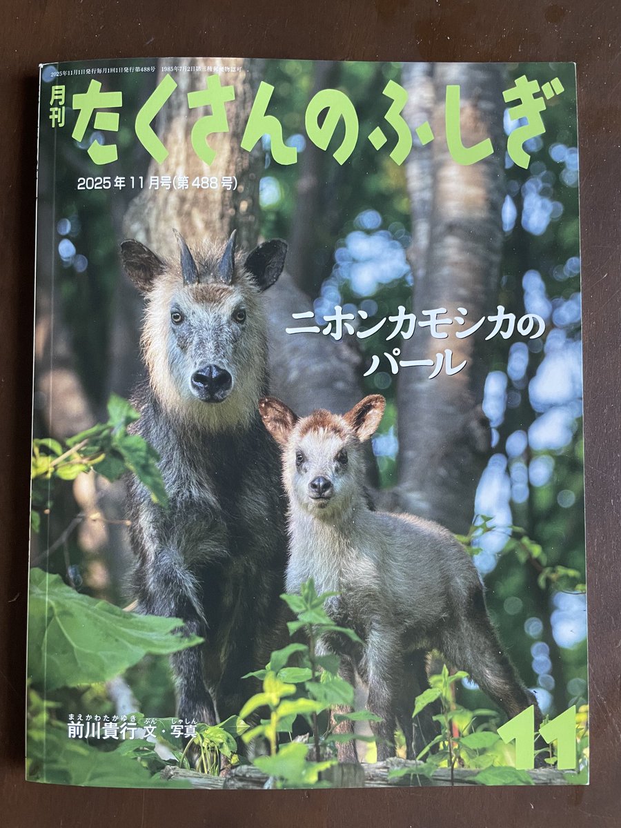 たくさんのふしぎ　2021年～2023年　17冊 たくさんのふしぎ 2021年～2023年 17冊 たくさんのふしぎ