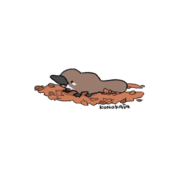 カモノハシ