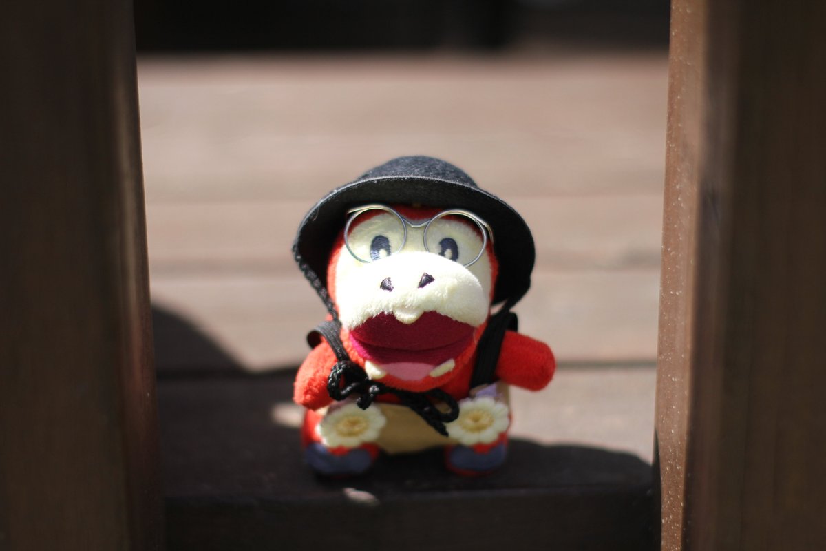 #ぬいのいちばん盛れてる写真見せて