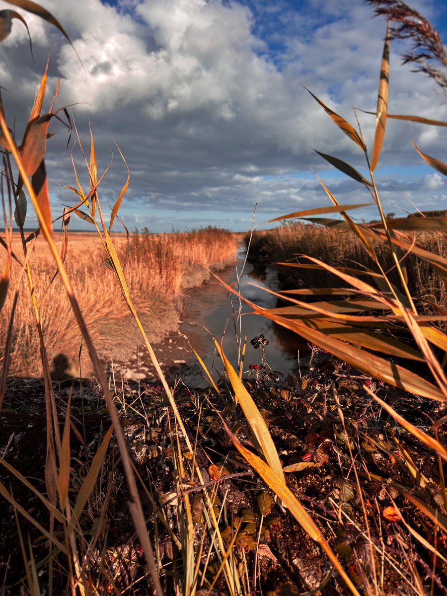 The bog remembers the footsteps of those who’ll never return

Ballycotton
East Cork