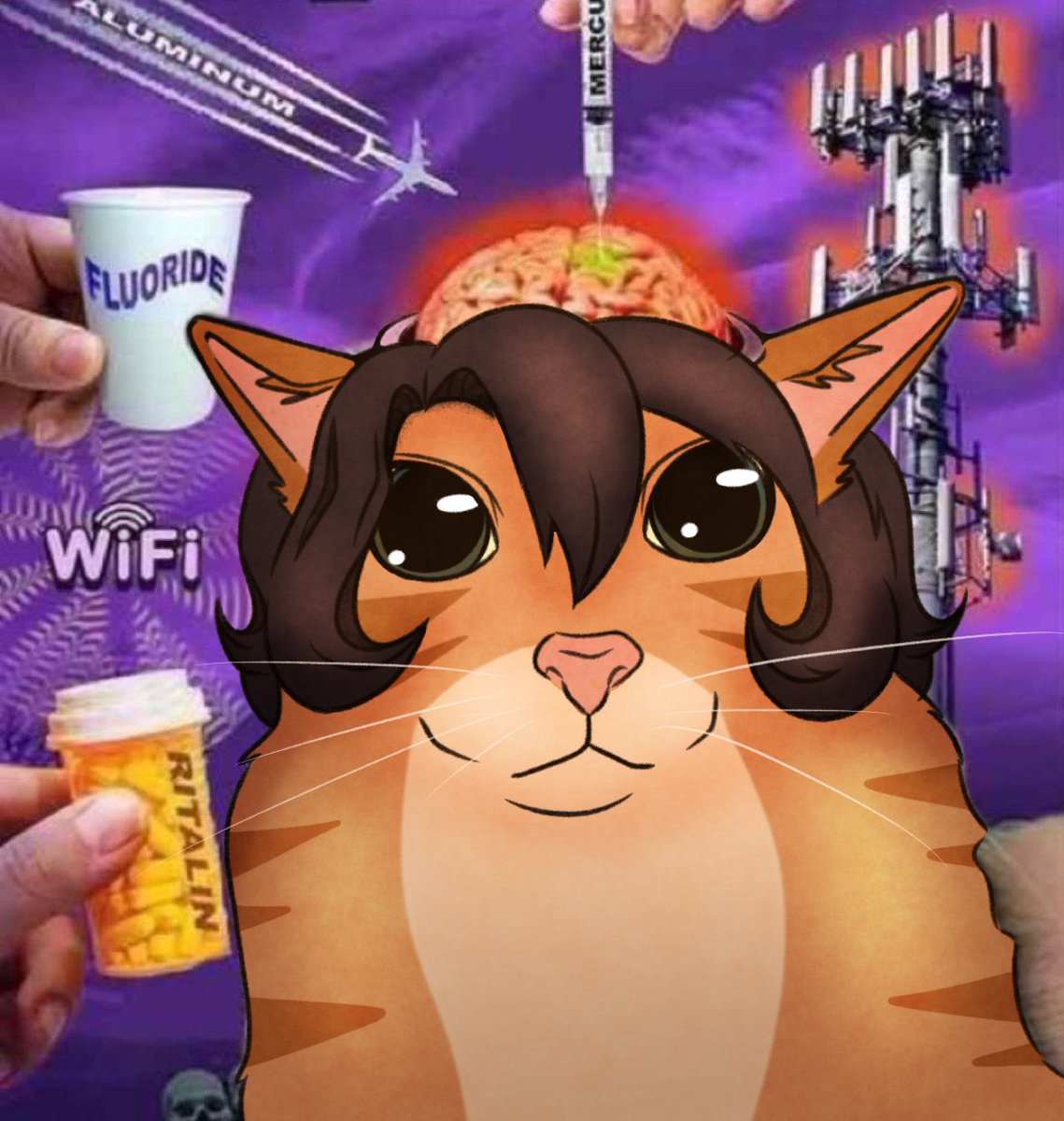 Ruffie 🐱☕ tweet media