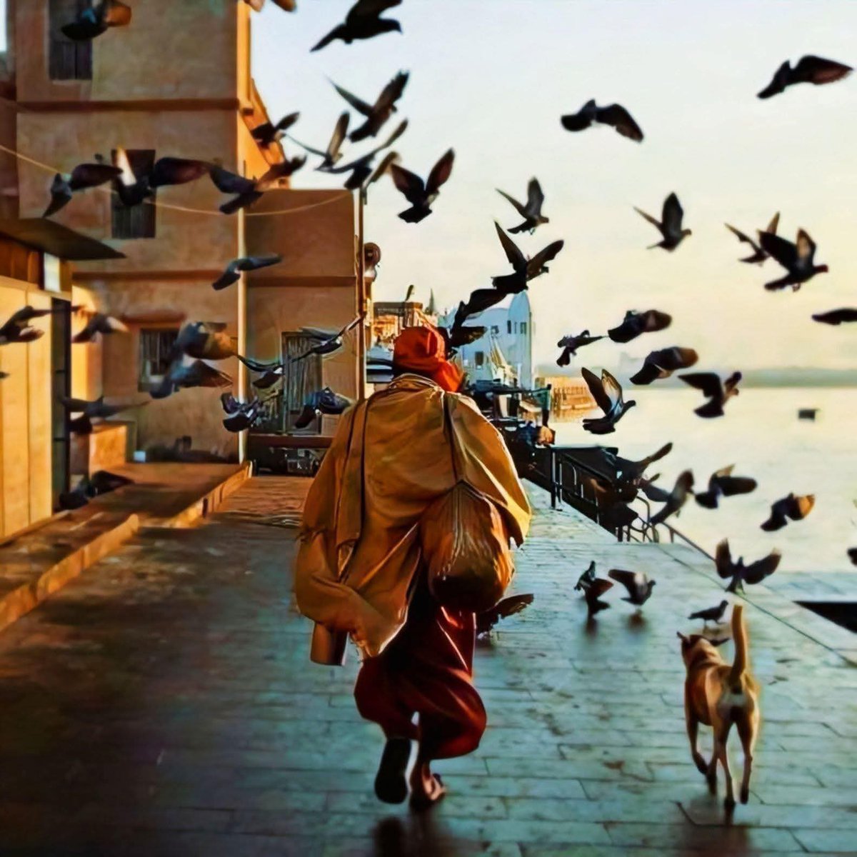 yassineAG383902's tweet image. أحسن الظنّ بالناس كأنهم كلهم خير!
واعتمد على نفسك كأنّه لا خير في الناس!