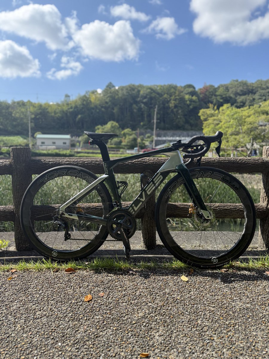 関西直接歓迎 ELVES OROME VALAR TH50D