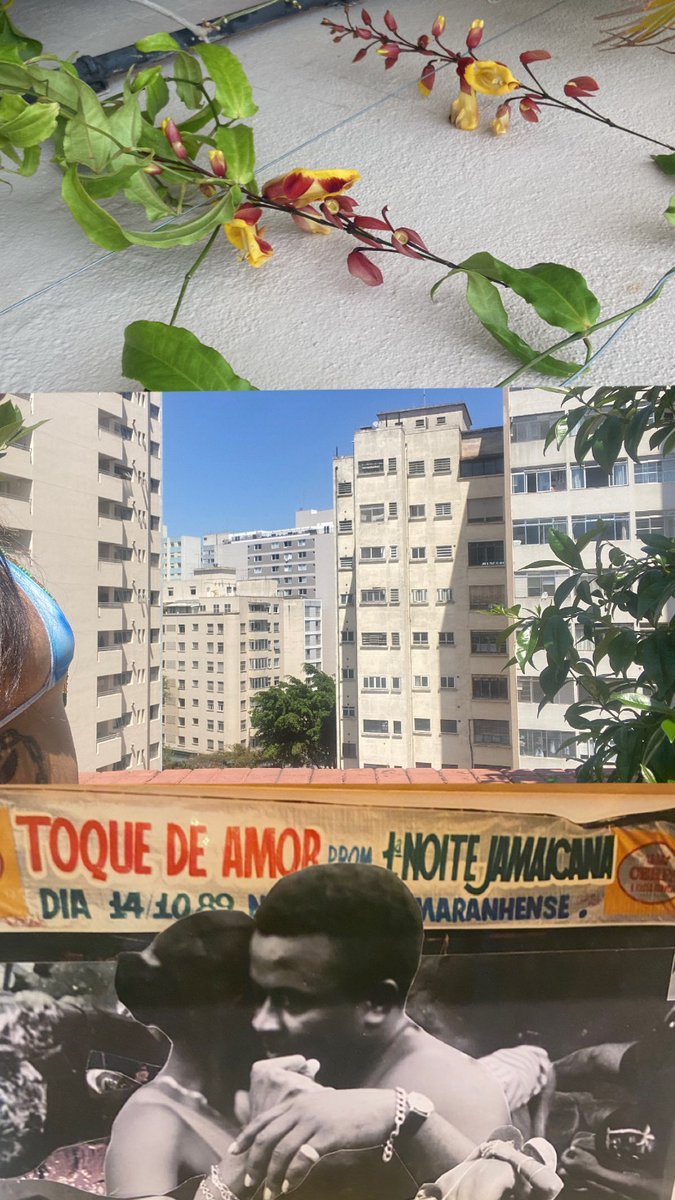 LetterZe's tweet image. cheguei em na sombra de o cidade 
LAROYÊ