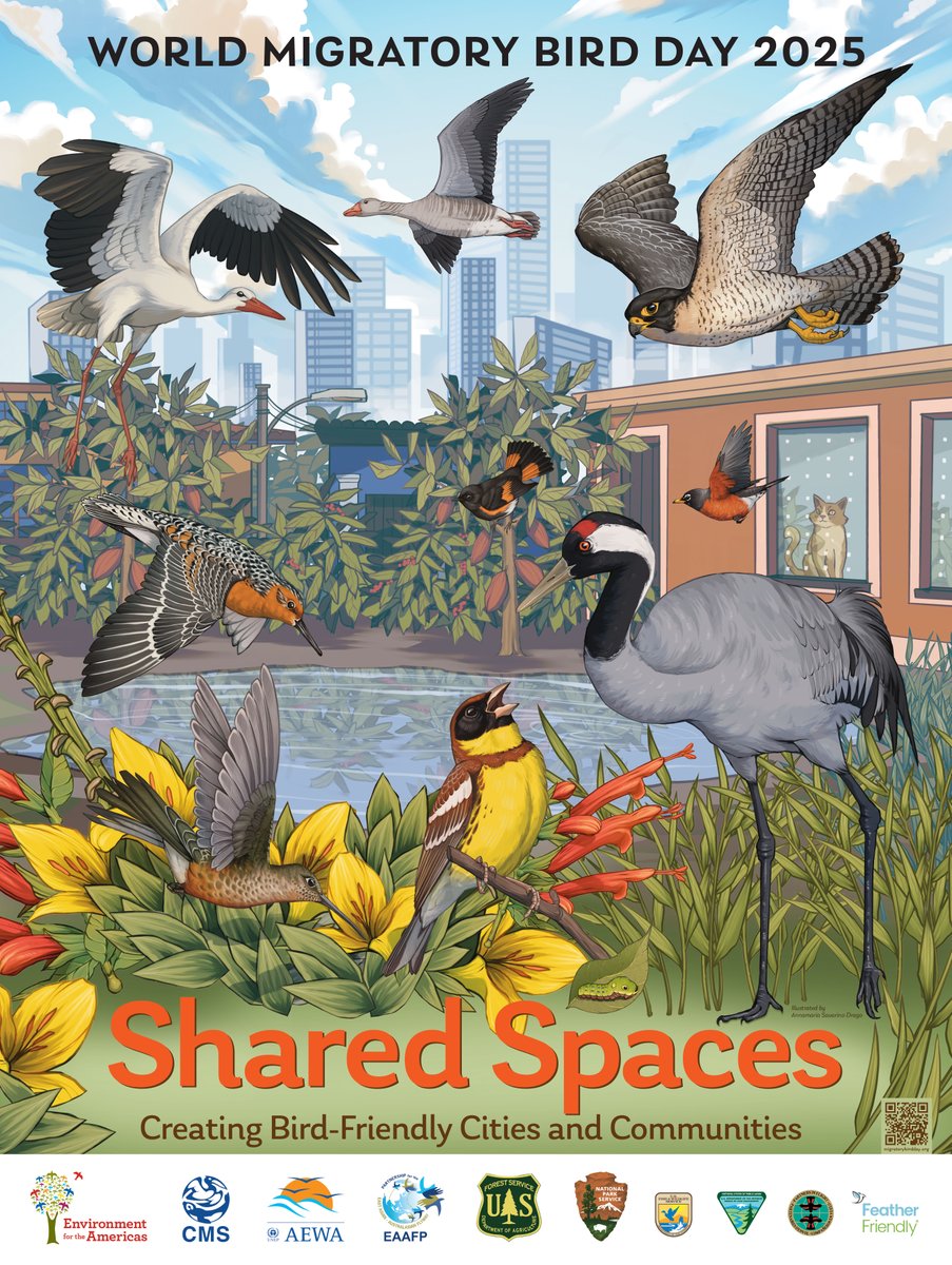 SMBC's tweet image. World Migratory Bird Day 2025 (WMBD) promotes the importance of a healthy coexistence between humans and birds by focusing on creating bird-friendly cities and communities.

Check out the 7 Calls to Action for Bird-Friendly Cities and Communities! 

@‌enviroamericas #WMBD2025