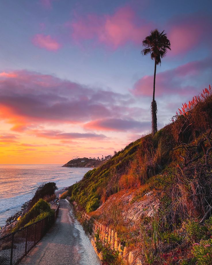 The sky’s slow surrender to night.