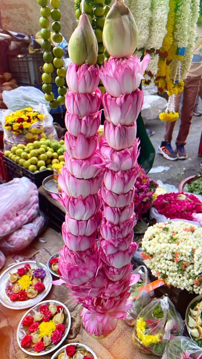 Education can be obtained from anywhere but value are always required from home ♥️
Good morning everyone 🌅