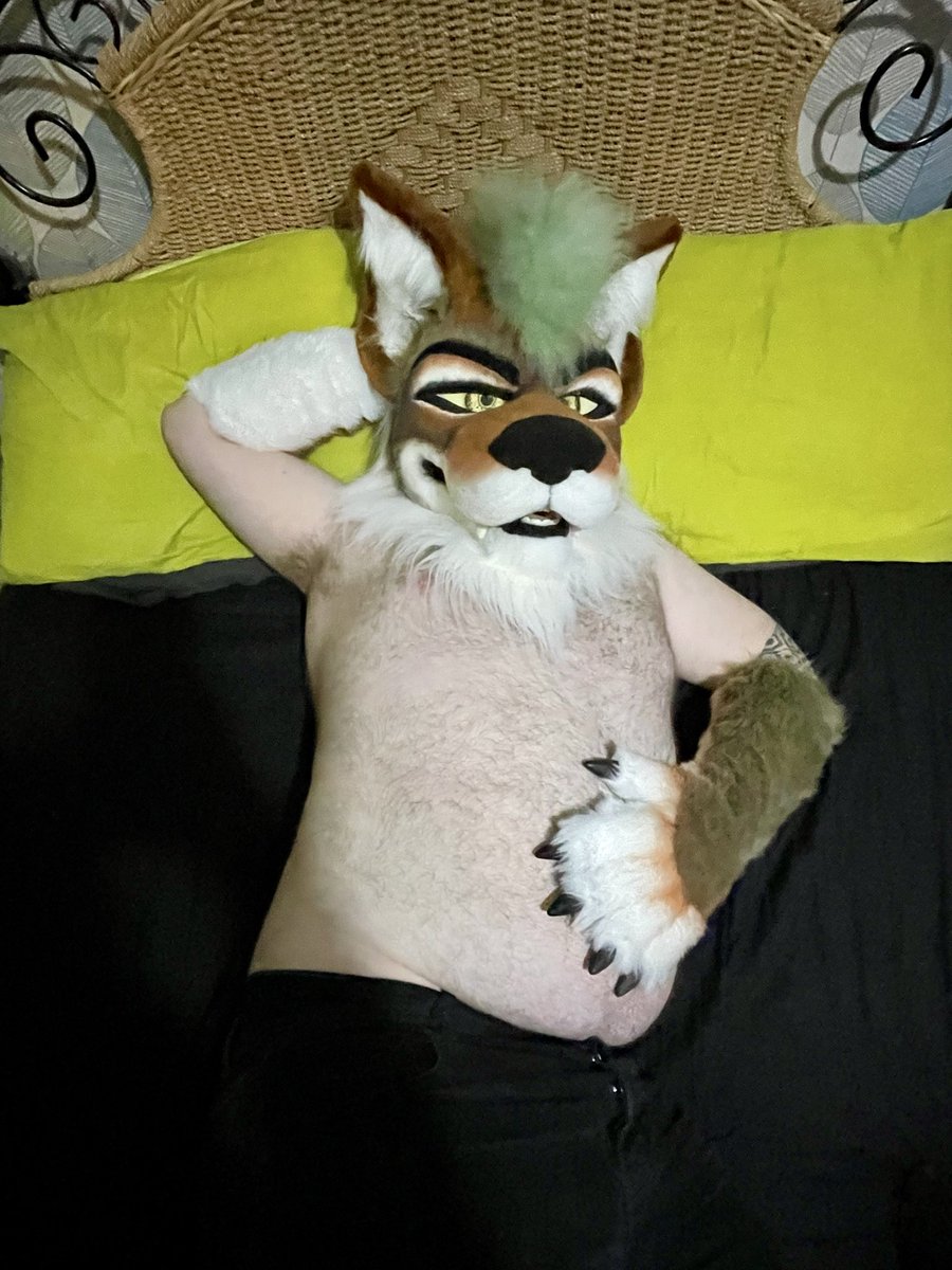 EllisCoyote's tweet photo. *Fwomp* time for bed https://t.co/PORs5hzNtq
