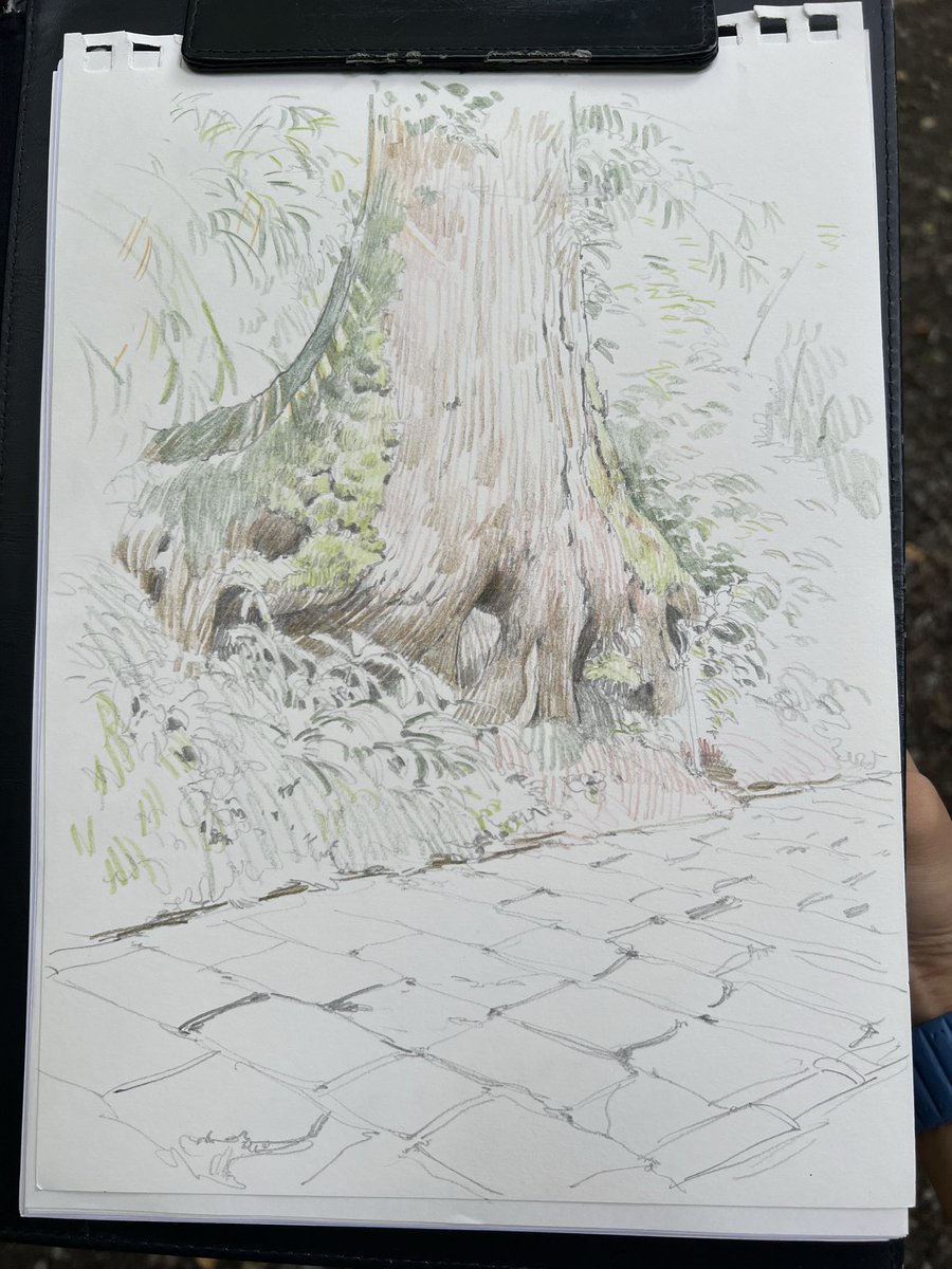 simodasketch's tweet image. 高尾山でスケッチ中！晴れてよかった！
#下田スケッチ会